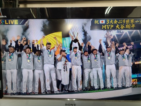 野球WBC侍ジャパン優勝　大谷翔平　佐々木朗希　山川穂高3選手に岩手からありがとう