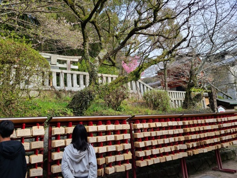 春休みの家族旅行は九州へ　仙台空港から福岡　太宰府天満宮　夜は博多でもつ鍋