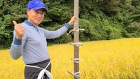 杭に横木を結びつけます　天日干し稲刈り準備その6　米屋ふくち店長の米づくり　【動画あり】 2020/09/28 20:25:52