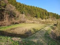 奥州市前沢でお米なら福地商店　米づくりの準備は山仕事から　（米屋ふくち店長の米作り） 2021/04/01 09:02:00