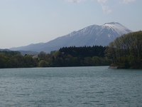 癒しの風景