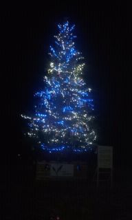 大船渡市のクリスマスツリーとイルミネーション♪