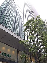  木と窓掃除の風景 2020/07/14 18:00:08