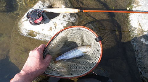 A415：まるで山梨道志川で釣ってるようなタフコンディション