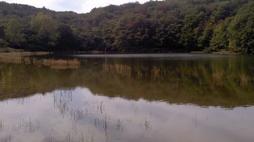 A442：毛馬内から㊙フィールド情報を 奥州市に送ってみた