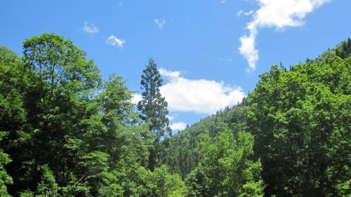 A858：用心せよ 怖がるな
