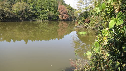473：超ひっさびさの鵜ノ木沼情報
