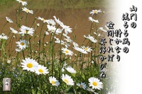 早川さんに贈る