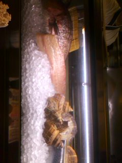 ◎本日の鮮魚
