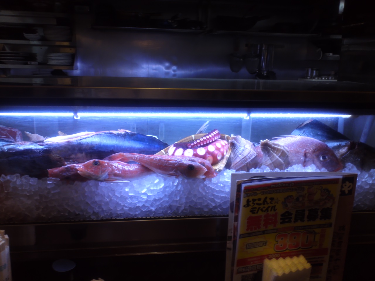 ◎本日のおすすめ