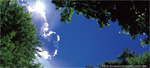 I  love iwate !