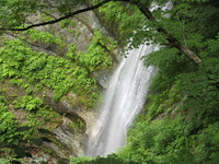 女神山（９５６ｍ）