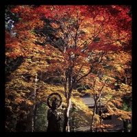 高野山の紅葉